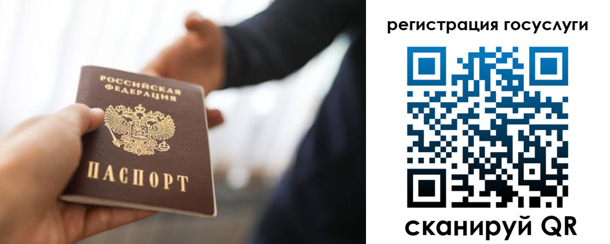 временная регистрация поиск в Краснознаменске